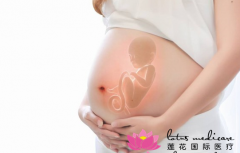 湖州代孕妈妈备孕前三个月需要注意什么